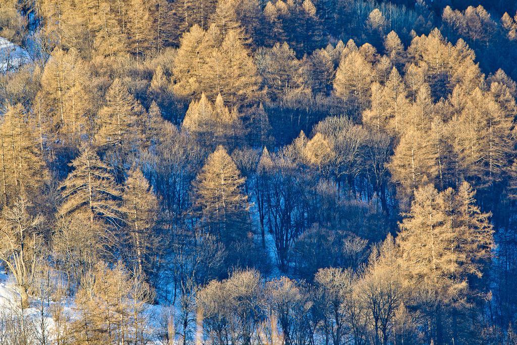 Rock Noir & Spa Ла-Саль-лез-Альп Экстерьер фото